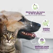 Charger l'image dans la galerie, Buco+, Traitement pour Favoriser la Santé des Dents et des Gencives pour les Chats et les Chiens.