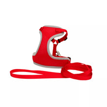 Charger l'image dans la galerie, Coastal Harnais confort avec laisse pour chat