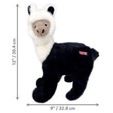 Charger l'image dans la galerie, Kong Toughz Pour Chien