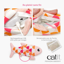 Charger l'image dans la galerie, Catit Groovy Poisson