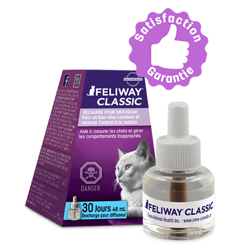 Feliway Diffuseur/Recharge pour Chat 48 ml : : Animalerie