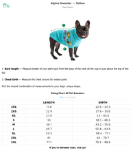 Charger l'image dans la galerie, Gf Pet Chandail Alpin gris