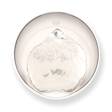 Charger l'image dans la galerie, Catit PIXI Abreuvoir intelligent avec appli de contrôle à distance