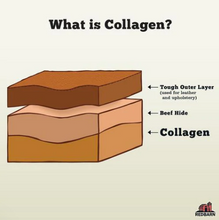 Charger l'image dans la galerie, Bâton de collagène RedBarn