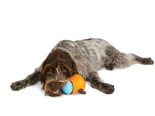 Charger l'image dans la galerie, West Paw Toppl®