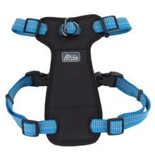 Charger l'image dans la galerie, Coastal K9 explorer harnais