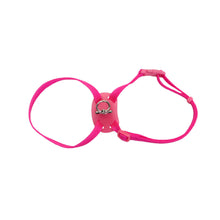 Charger l'image dans la galerie, Coastal Size Right Harnais ajustable pour chat
