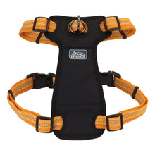 Charger l'image dans la galerie, Coastal K9 explorer harnais