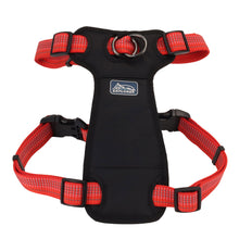 Charger l'image dans la galerie, Coastal K9 explorer harnais