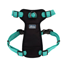 Charger l'image dans la galerie, Coastal K9 explorer harnais