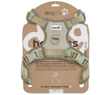 Charger l&#39;image dans la galerie, Dexypaws Harnais Sans Traction Pour Chien
