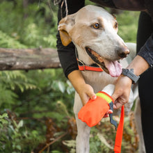 Charger l&#39;image dans la galerie, Botte Nahak pour Surface en Terre, pour Chien. Orange.
