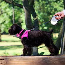 Charger l&#39;image dans la galerie, Li’L Pals-Harnais en Microsuède pour petit Chiens.

