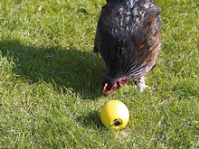 Charger l&#39;image dans la galerie, Savic-Chicken Fun, Balle pour Gâteries pour les Poules
