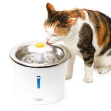 Charger l&#39;image dans la galerie, Catit-Abreuvoir avec Fleur et dessus en Acier Inoxydable, pour Chats, 3litres
