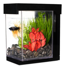 Charger l&#39;image dans la galerie, Aquarium Style Marina pour betta, noir, 3,7 L (1 gal US
