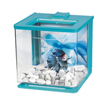 Charger l&#39;image dans la galerie, Marina-Aquarium Équipée pour Betta-EZ Care, 2.5 Litres
