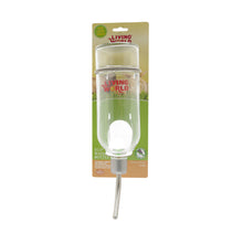 Charger l&#39;image dans la galerie, Bouteille d’eau en vitre anti-fuites Eco + Living World
