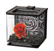 Charger l&#39;image dans la galerie, Marina-Aquarium Équipée pour Betta-EZ Care, 2.5 Litres
