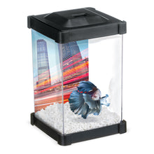 Charger l&#39;image dans la galerie, Marina-Tower, Aquarium pour Betta, 1.24 litre
