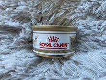 Charger l&#39;image dans la galerie, Conserve Royal Canin Chihuahua adulte (85g)
