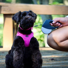 Charger l&#39;image dans la galerie, Li’L Pals-Harnais en Microsuède pour petit Chiens.
