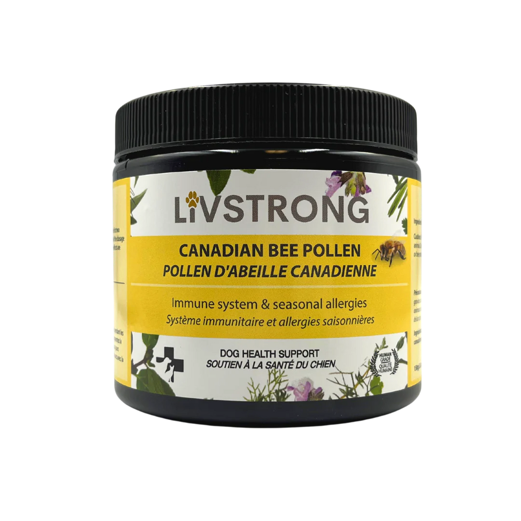 Livstrong Pollen d'abeille canadienne 150g