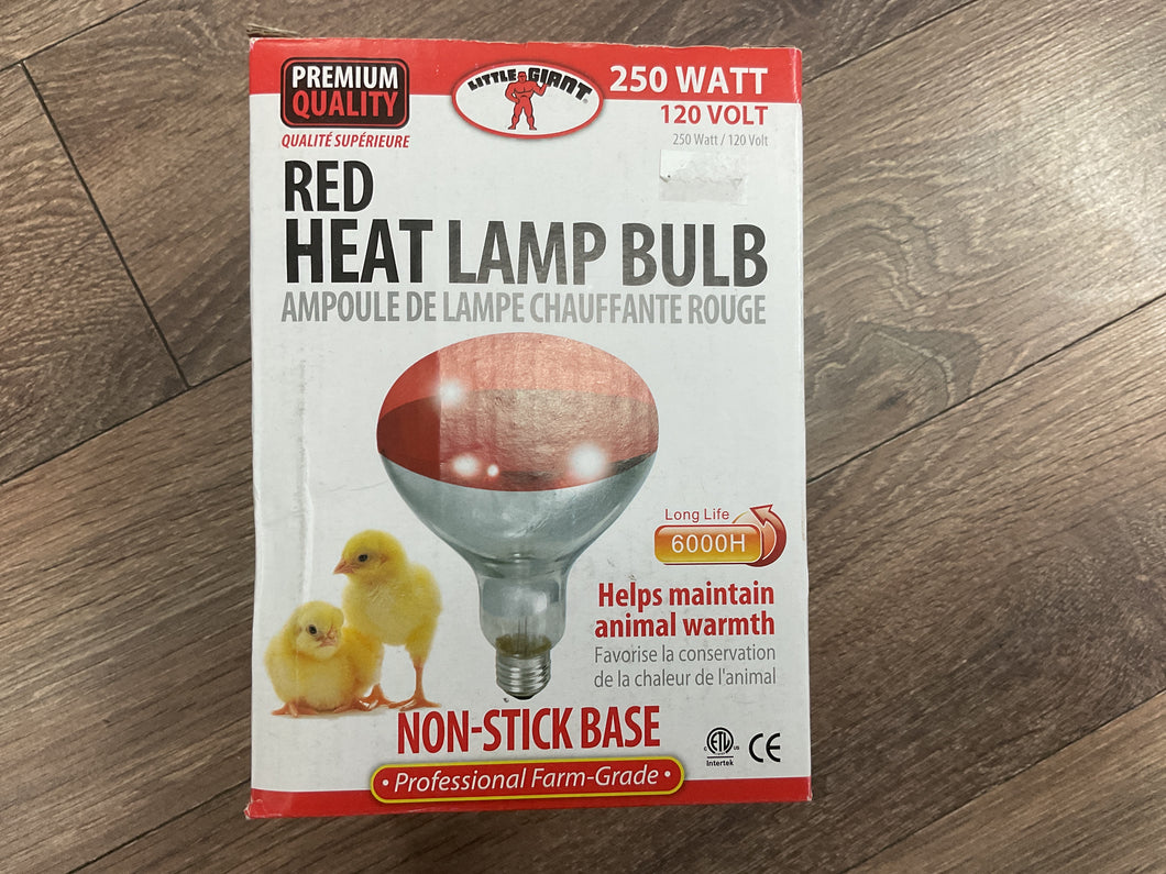 Ampoule de Lampe Chauffante Rouge, 250Watt