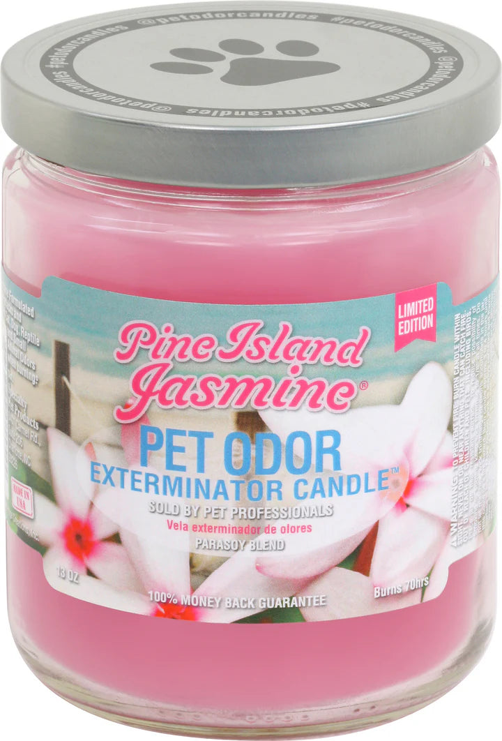 Chandelle Holly Molly, Destructeur d’Odeur d’Animaux, 13 oz