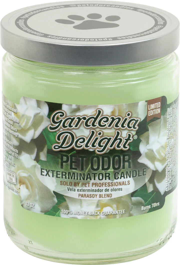 Chandelle Holly Molly, Destructeur d’Odeur d’Animaux, 13 oz