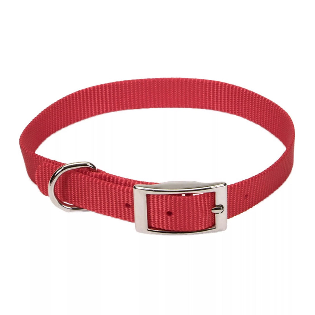 Coastal-Collier de Nylon de couleur unie avec boucle de métal.