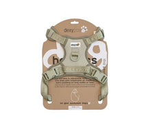 Charger l&#39;image dans la galerie, Dexypaws Harnais Sans Traction Pour Chien

