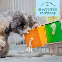 Charger l&#39;image dans la galerie, Tiroirs interactifs Tirer et Chercher pour petits animaux Enriched Life Oxbow
