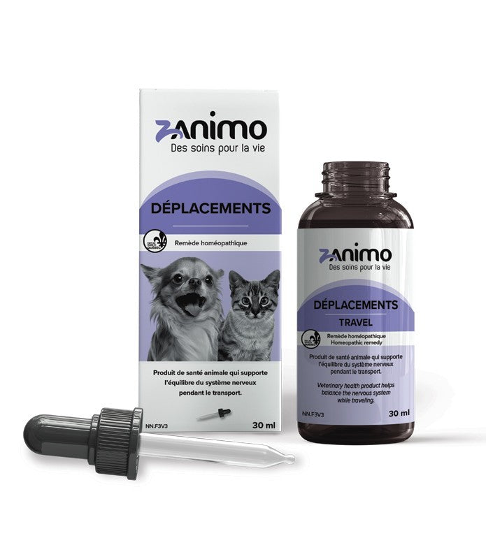 Zanimo Déplacement