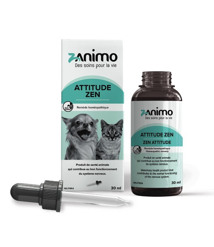 Zanimo Attitude Zen