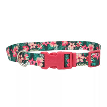 Charger l&#39;image dans la galerie, Coastal Styles Collier pour chien
