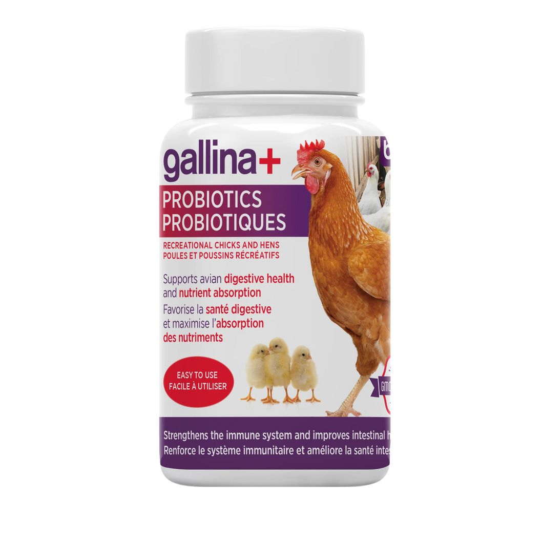 gallina+ Probiotiques pour poule